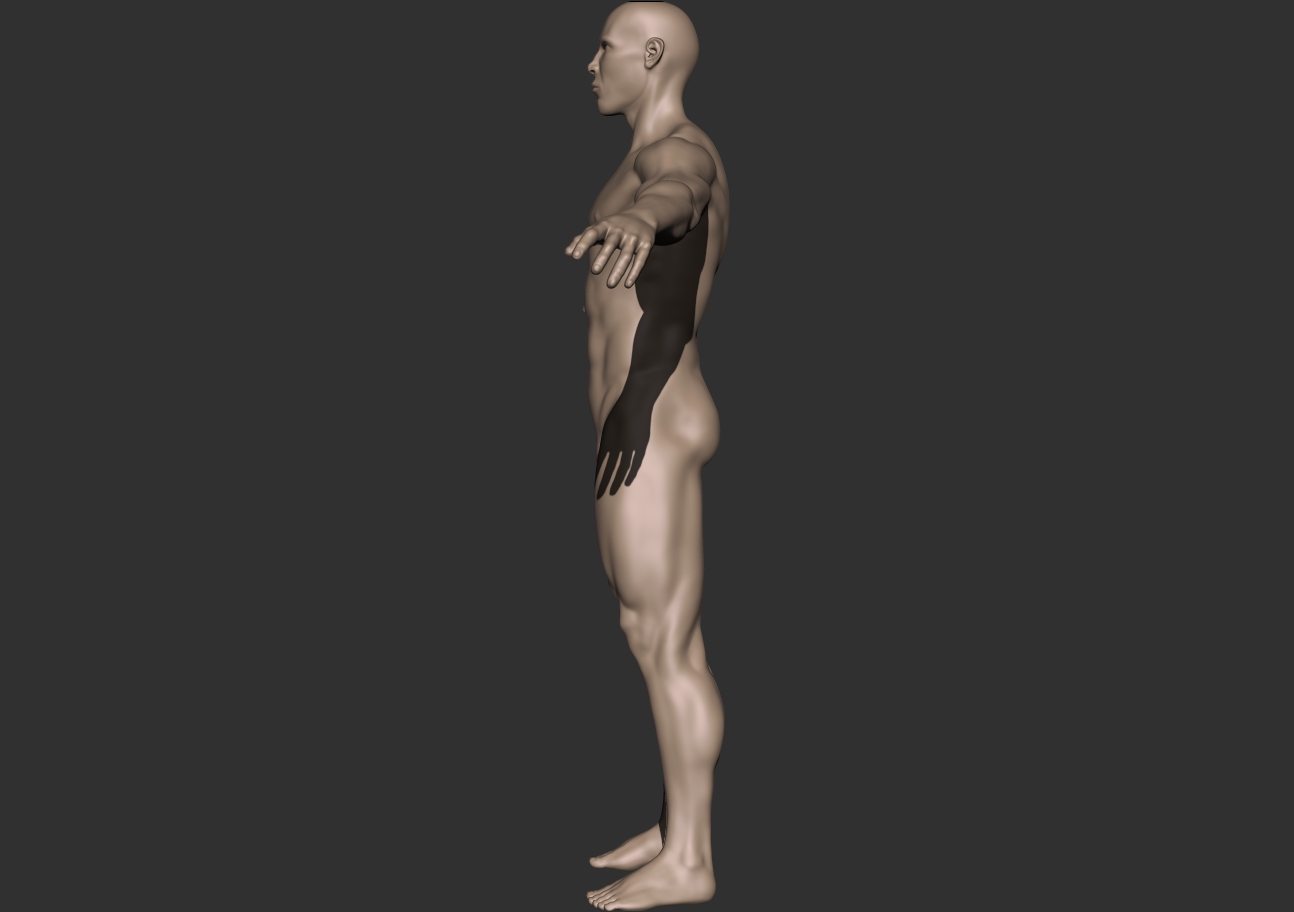 bodybuilder_profile.jpg