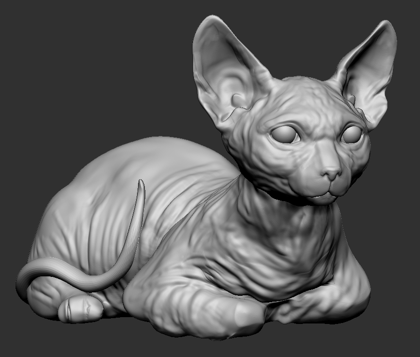 HairlessCat01.jpg