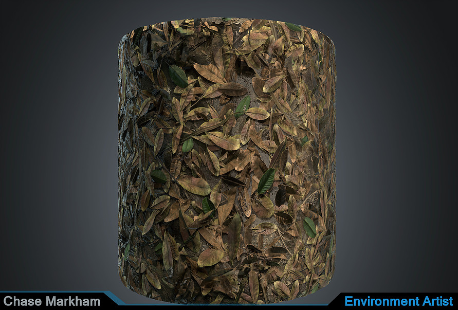 Jungle Ground Texture.jpg