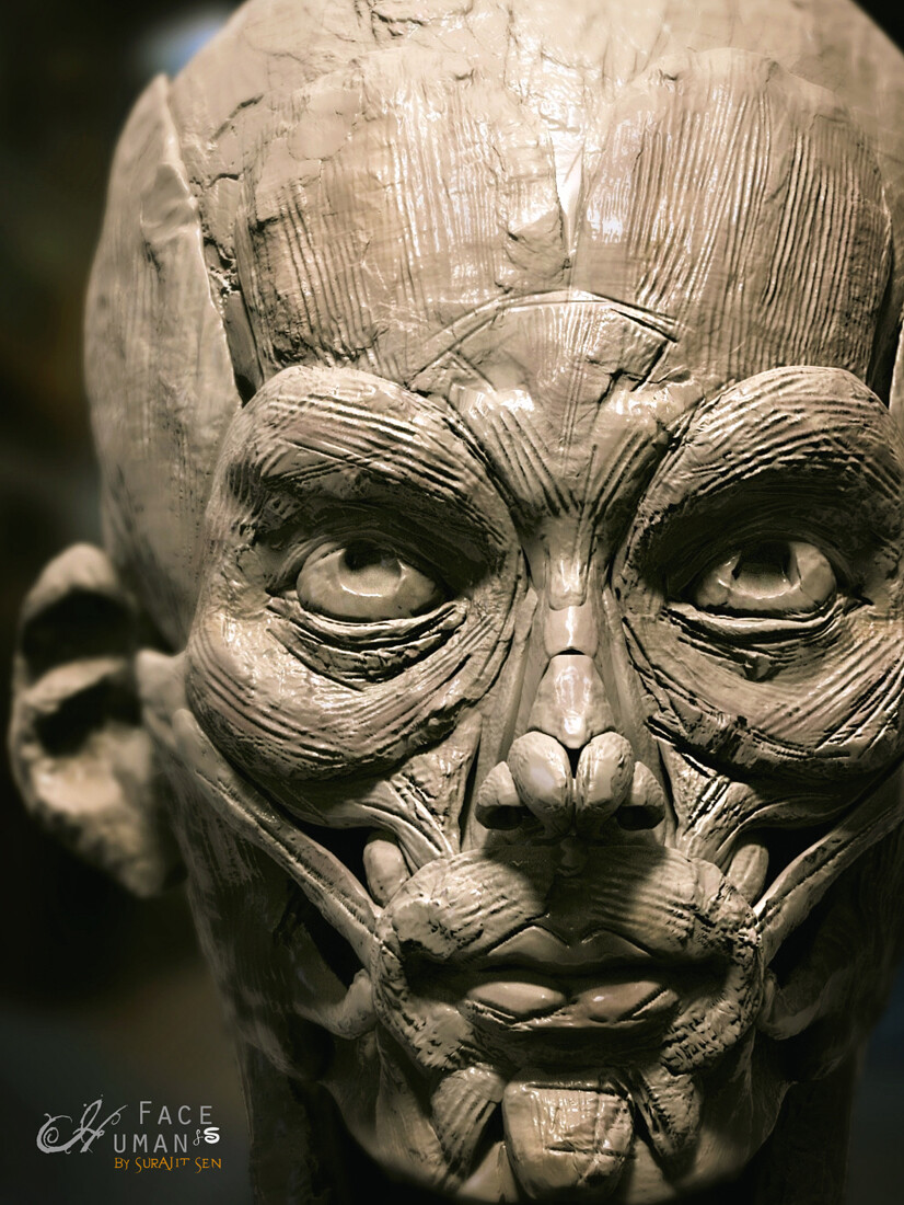 surajit_sen_Anatomy_Digital_Sculpture (1)