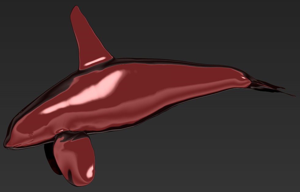 orca-male7_edited-1.png