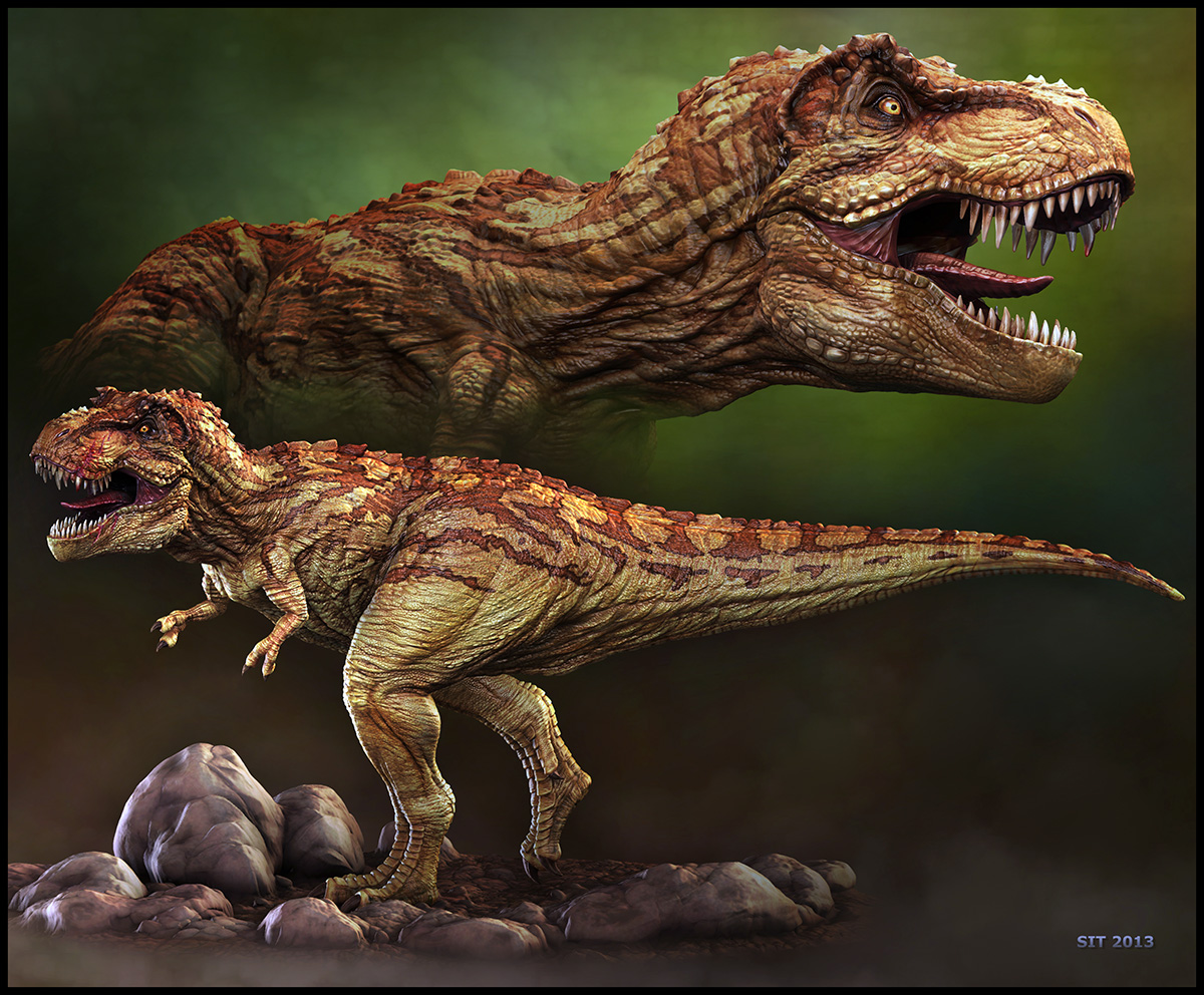 Tyrannosaurid-by-Stephen-Thomson-01.jpg