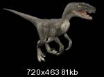 velosiraptor12a20rh7_th.jpg