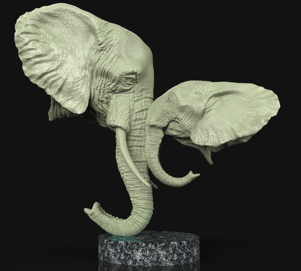 Elephants Hero.jpg