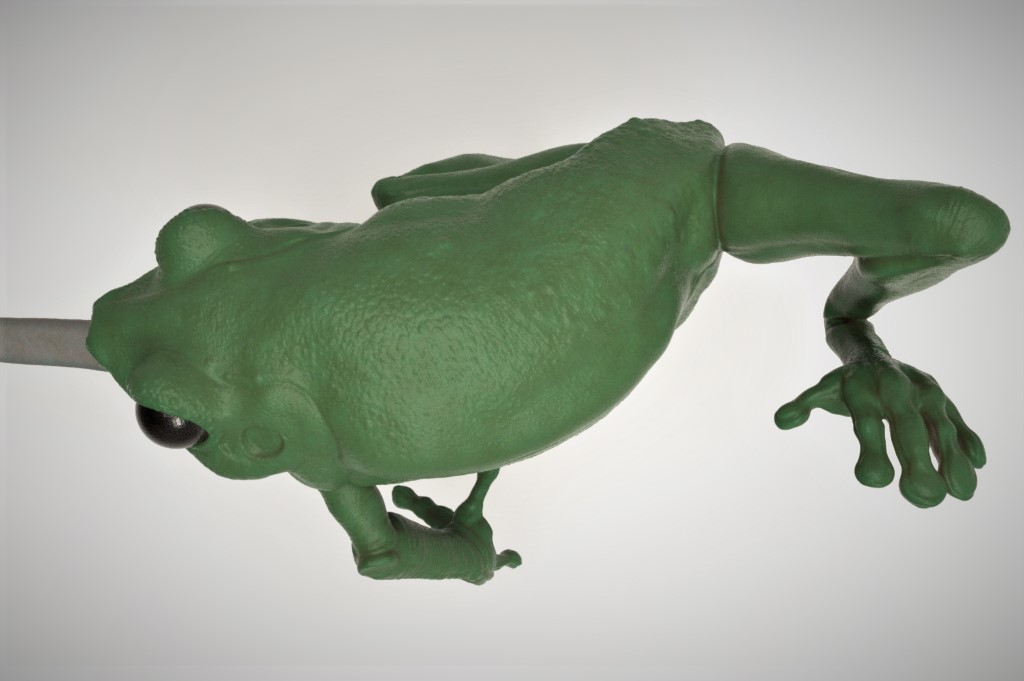 Frog_Keyshot_02B.jpg