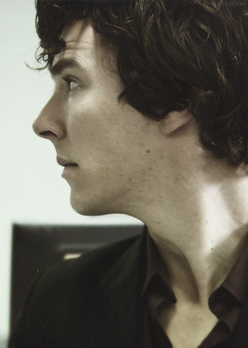 tumblr_m598g3WRJP1qfff1no1_500.jpg