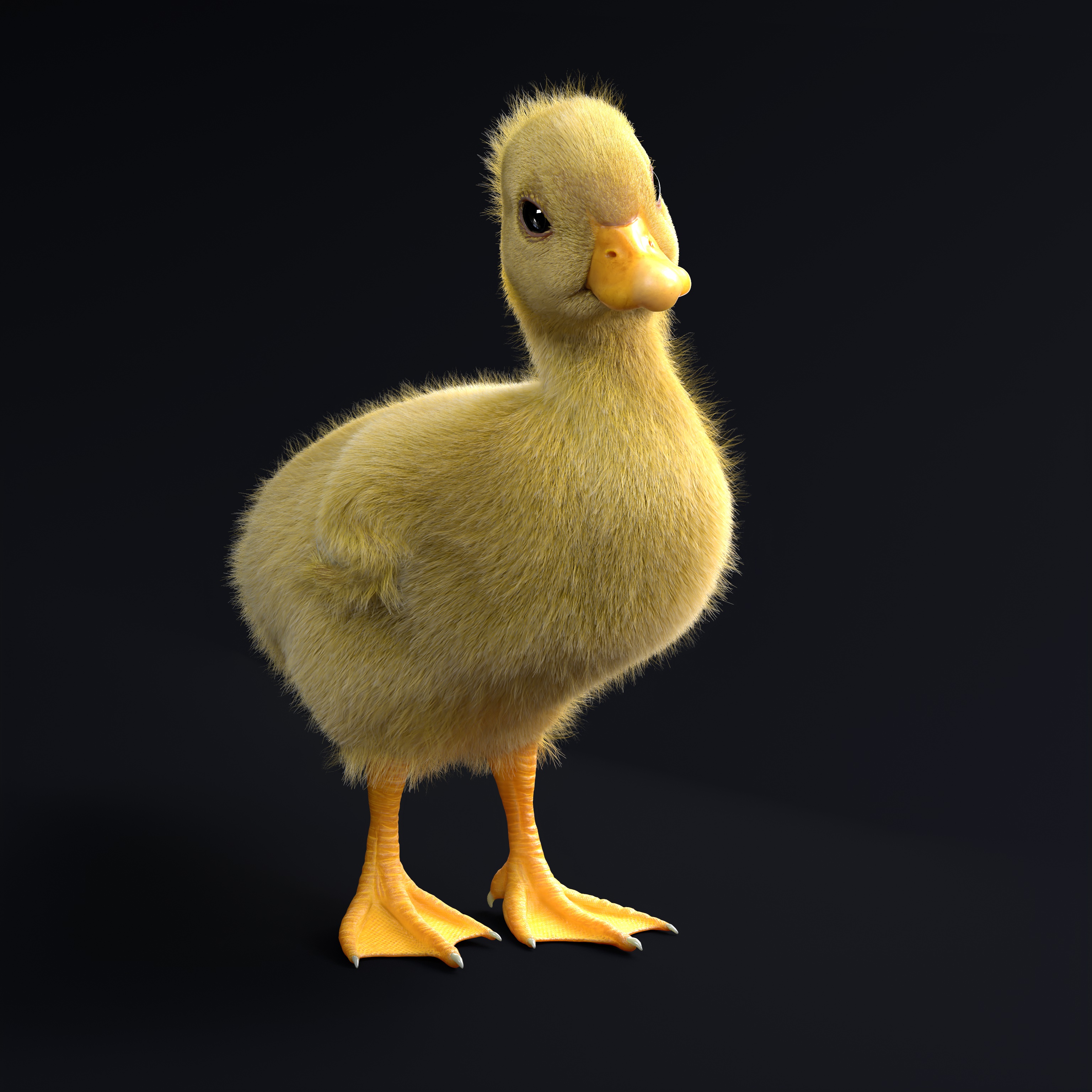 Quack Quack - ZBrushCentral