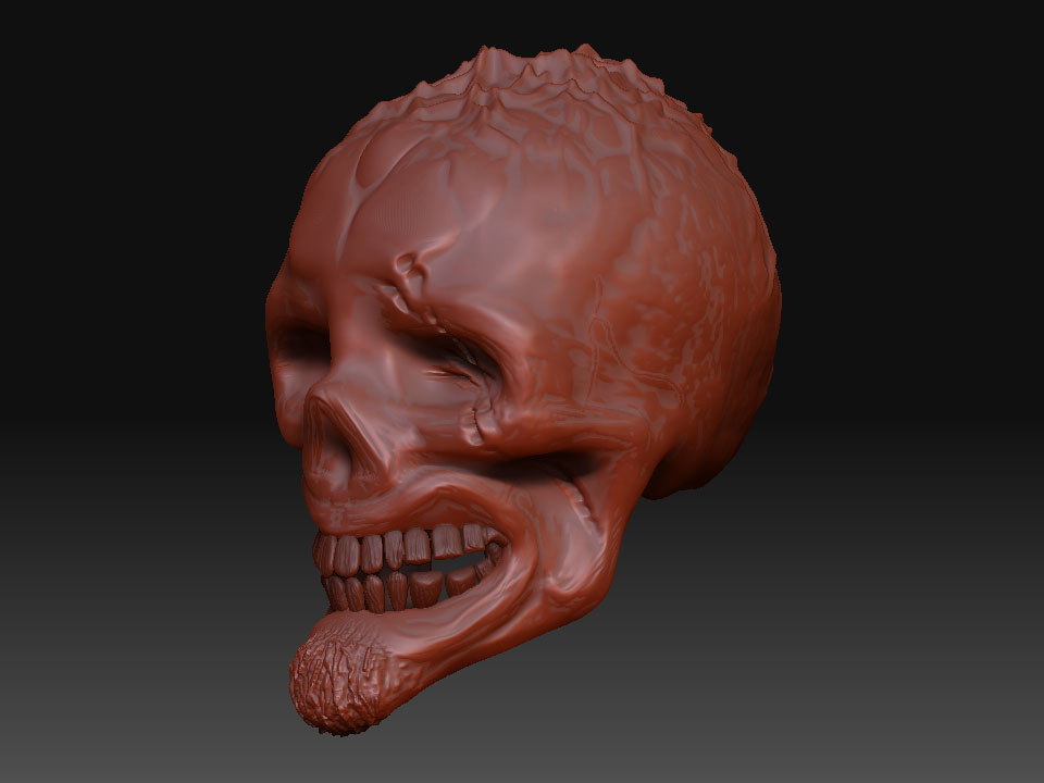 Z_Sculpt_Skull.jpg