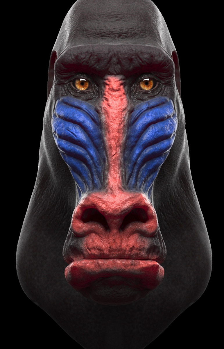 The White Mandrill - ZBrushCentral