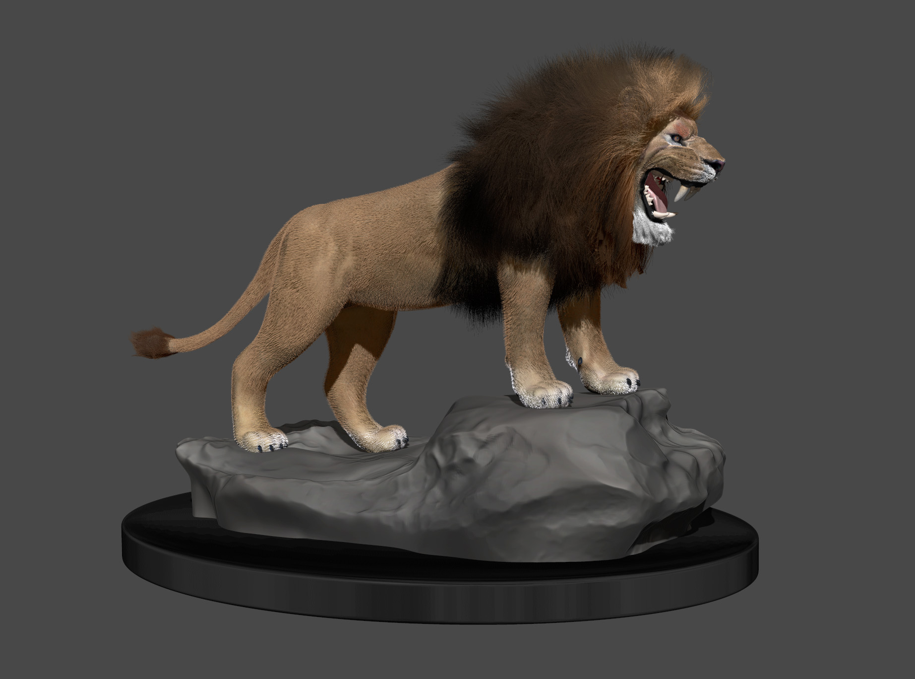 lion3.jpg