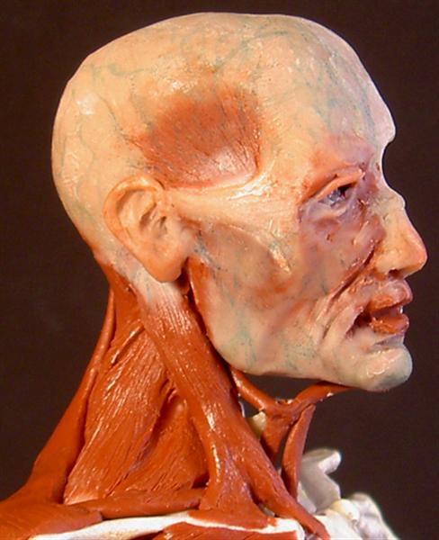 #28 hd,6@72 (Medium).jpg