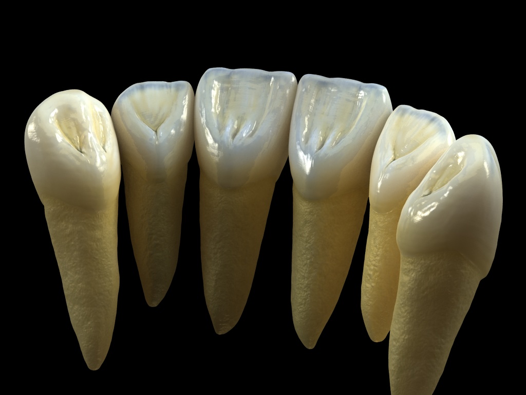 dientes5.jpg