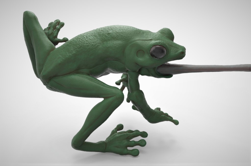 Frog_Keyshot_03B.jpg