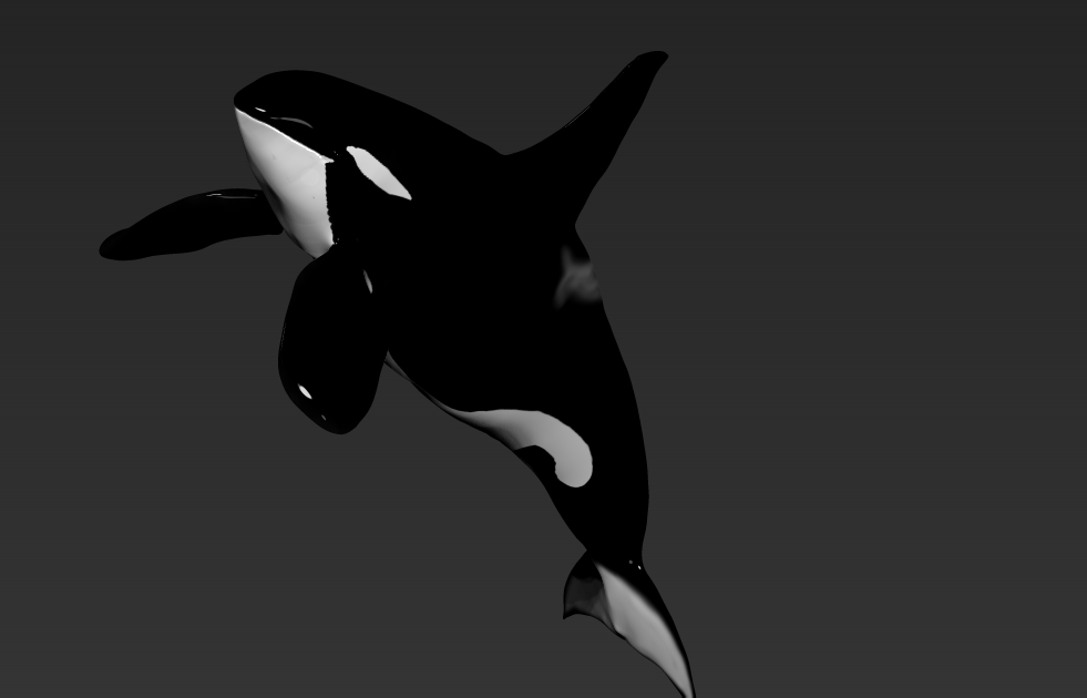 orca-male12.png