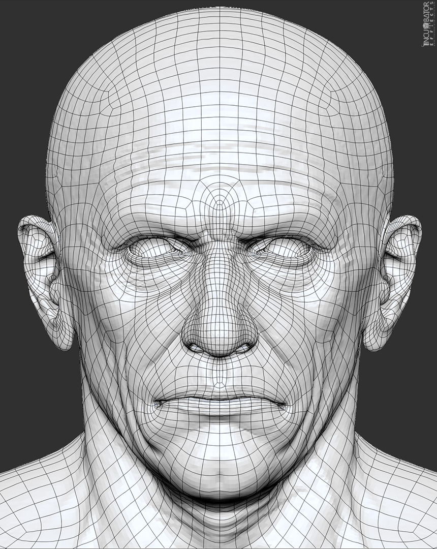 faceWire.jpg