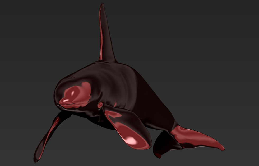 orca-male6_edited-1.png