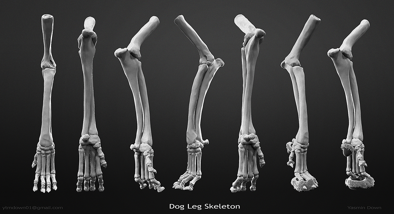 Leg_Sheet.jpg
