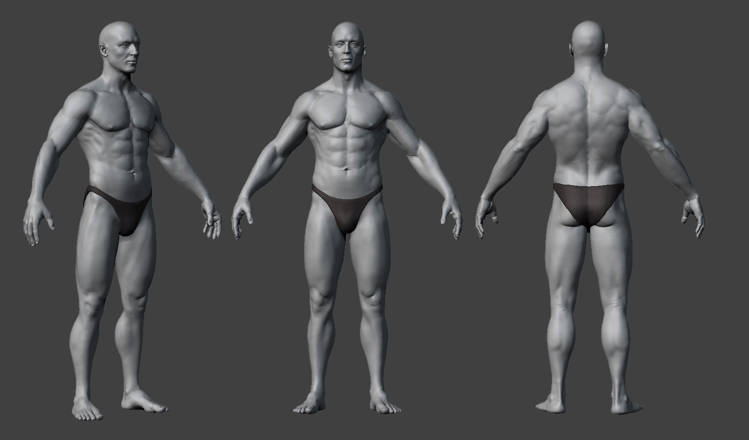 Anatomy_01.jpg