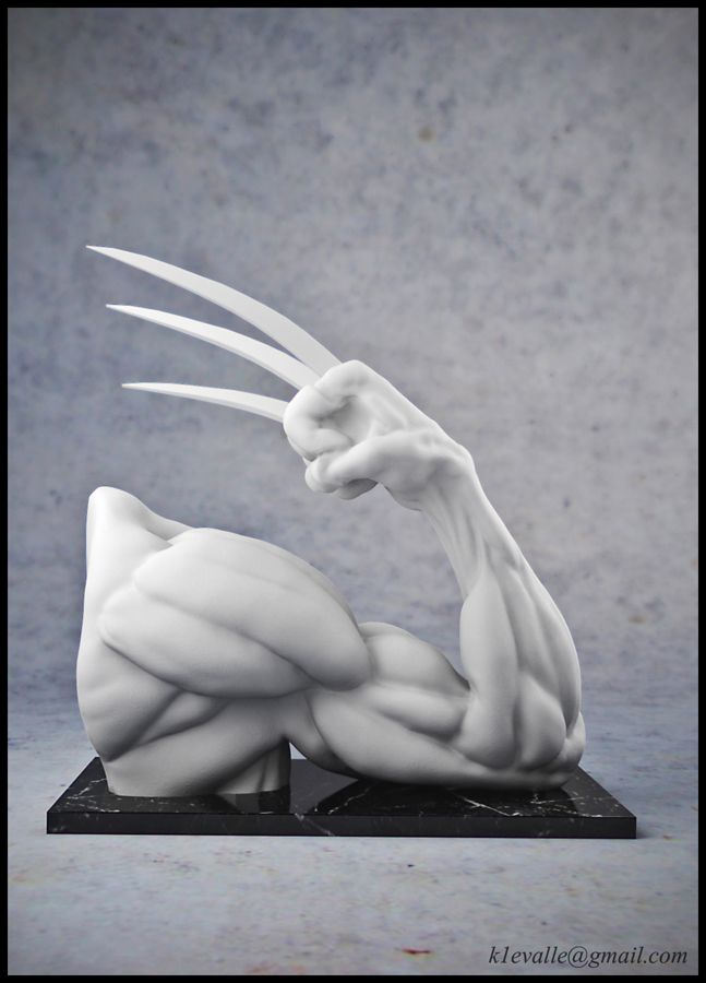 Ecorche_pic_1.jpg