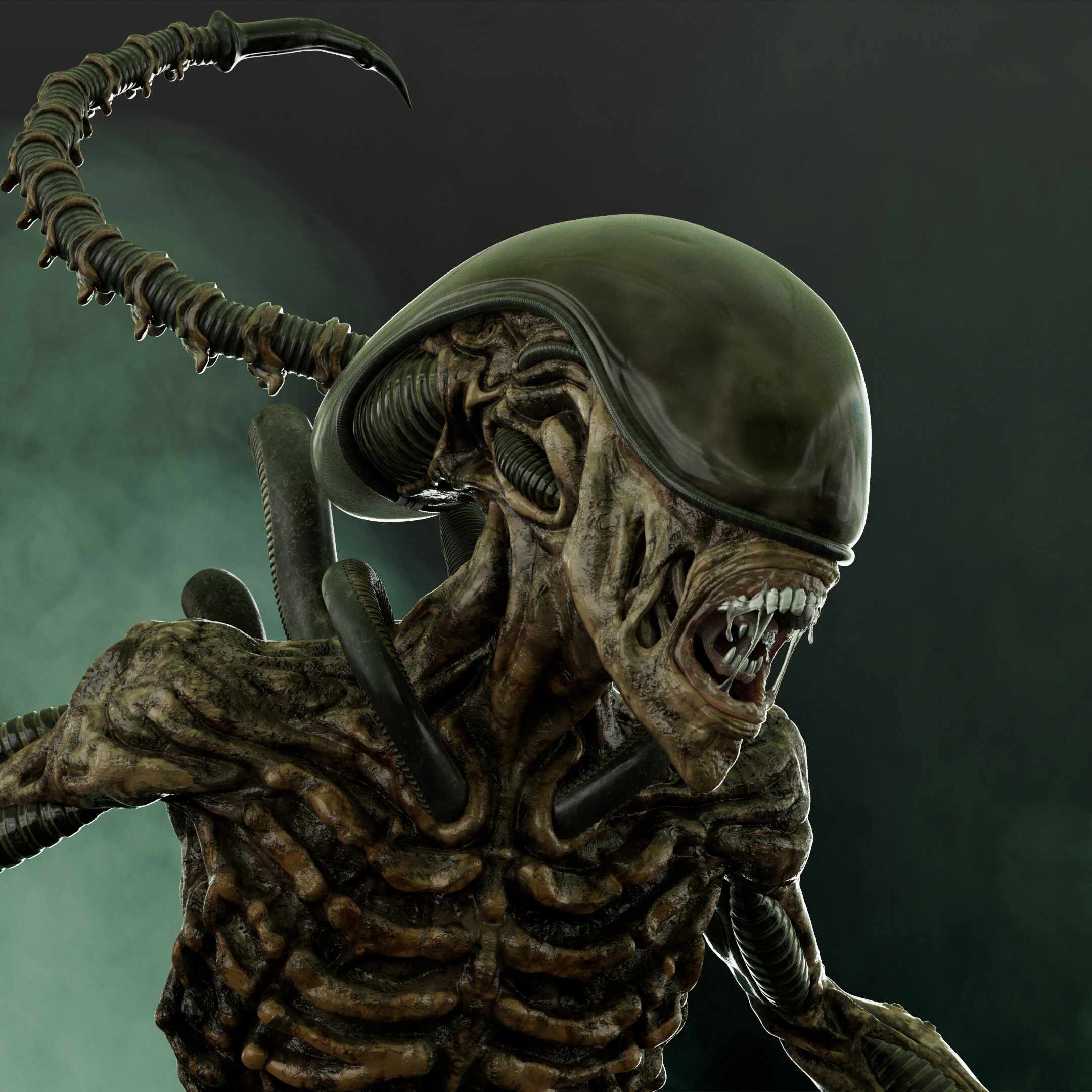 Xenomorph - ZBrushCentral