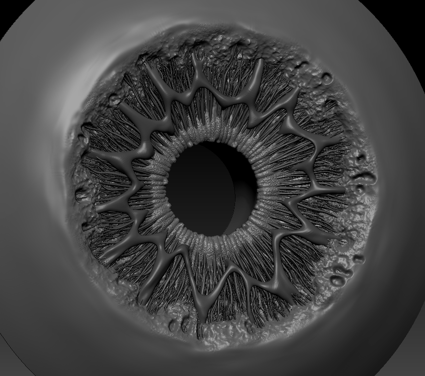 Iris