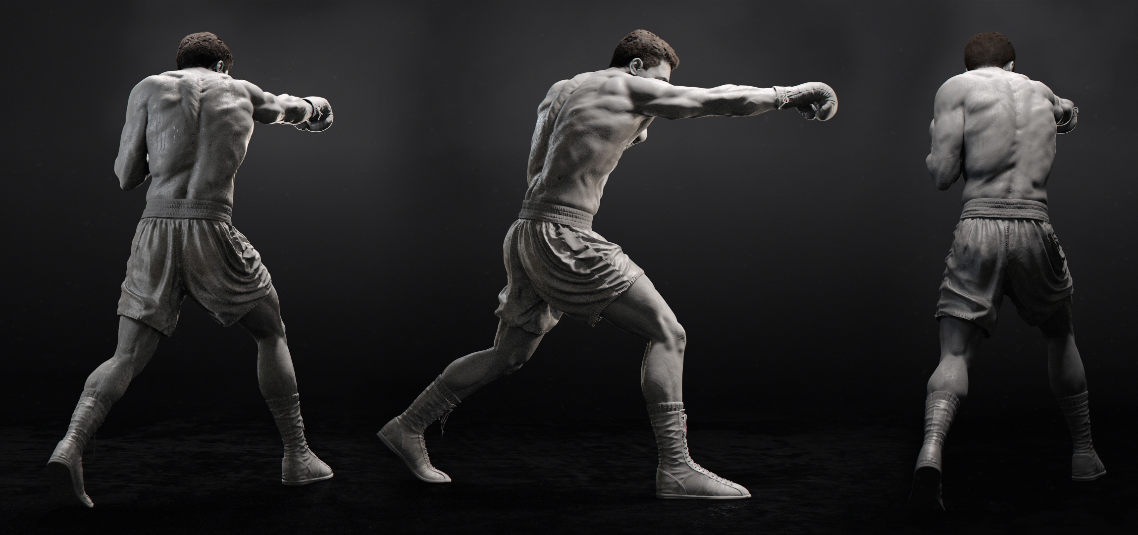 ali_cam_2_grey_wide.jpg