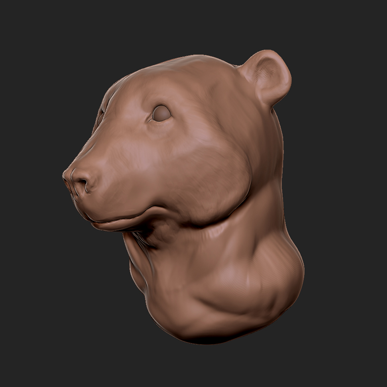 20180817_bear01