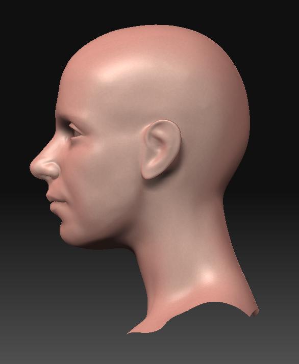 Chopsticks Ffs Nude Wip Zbrushcentral