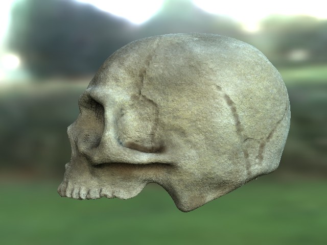skull_wip9.jpg