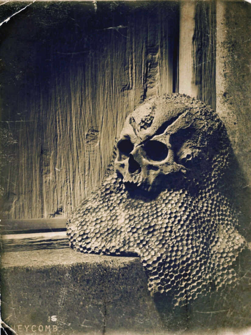 Honeycomb_Digital_Sculpture_SurajitSen_Jan2022A1L