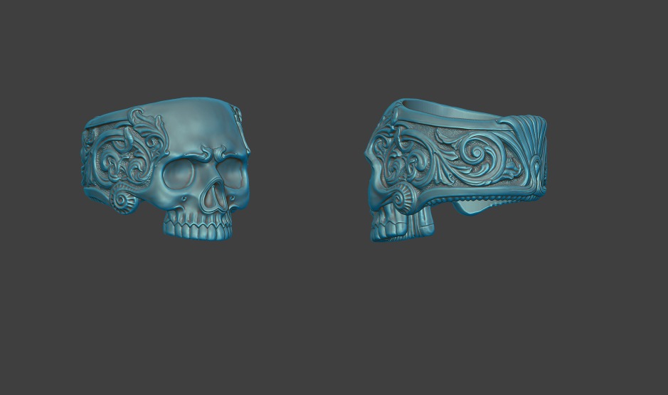 achantus skull zb01.jpg