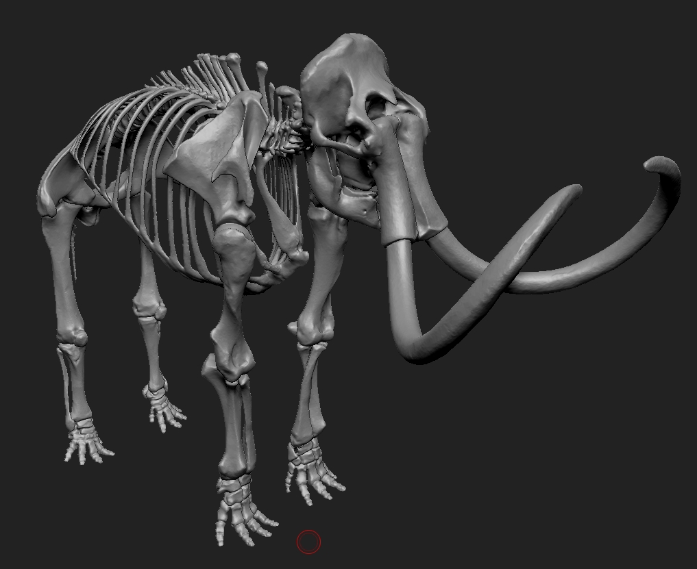 Mammoth Skeleton.jpg