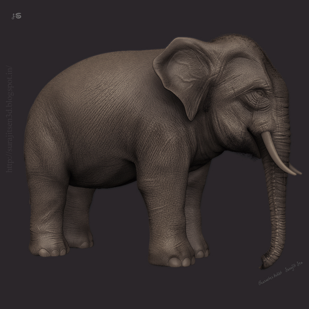 Asian_elephant_RND_SURAJITSEN_09052017.JPG