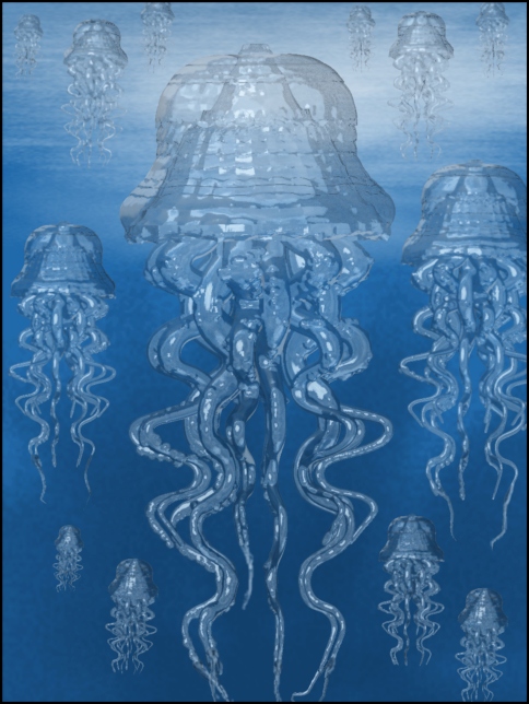 jellyfish1kladj.jpg