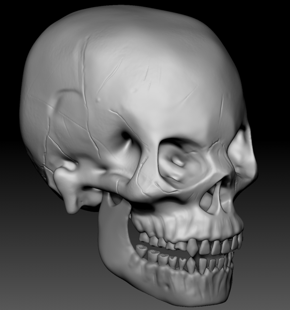 Skull_Scuplt.jpg