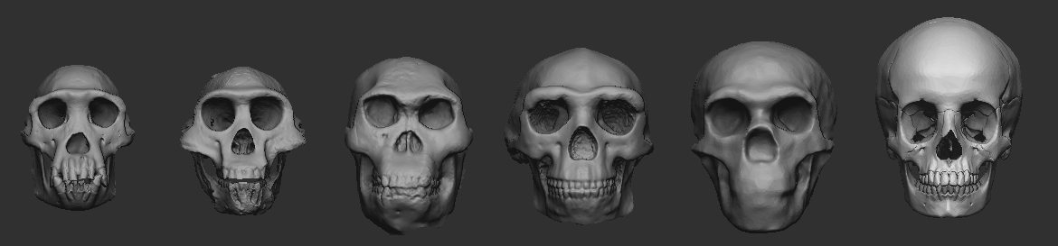 ZBrush Document