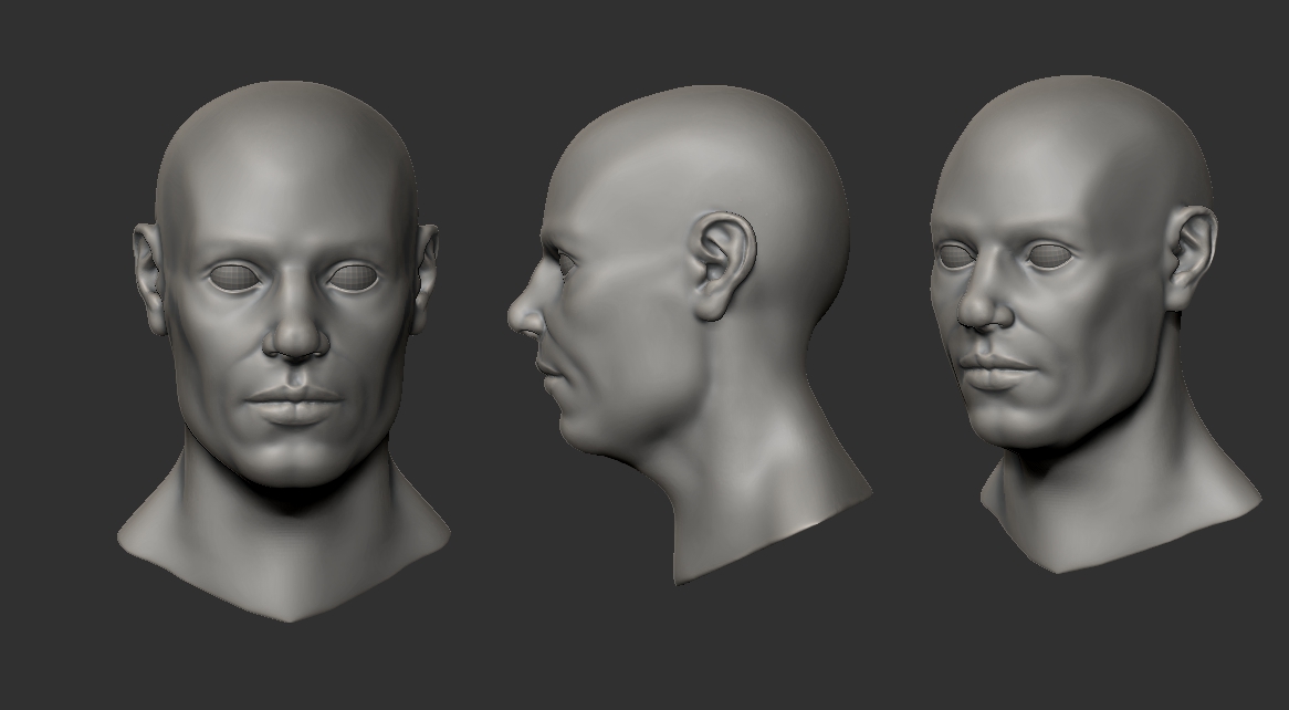 HeadSculpt.jpg