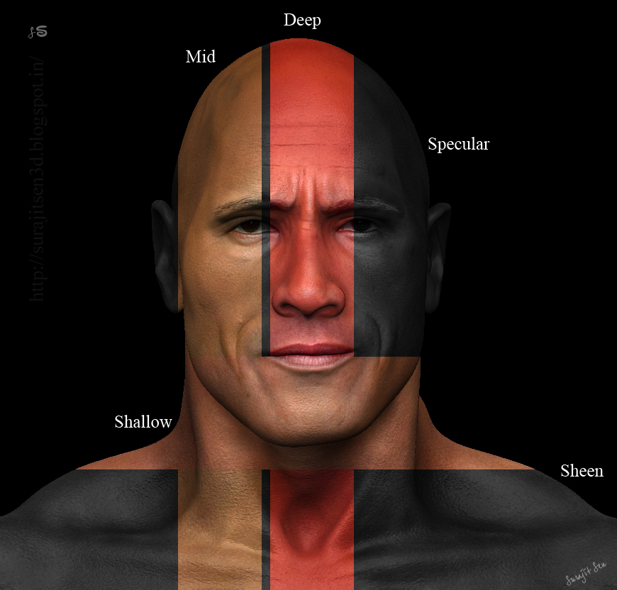 4__Dwayne Johnson_3D Porttrait_Maps_Breakdown by Surajit Sen