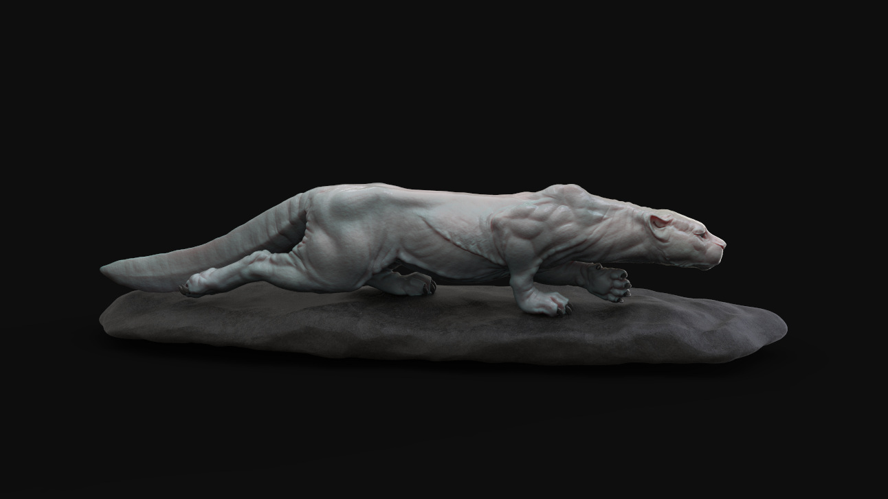 Amphibian_cheetah_02.494489.jpg