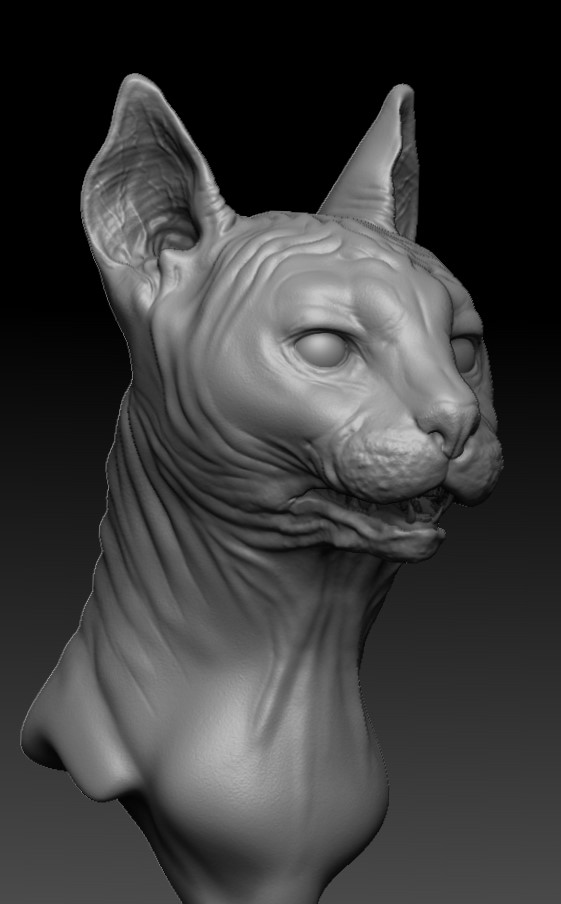 ZBrush Document.jpg