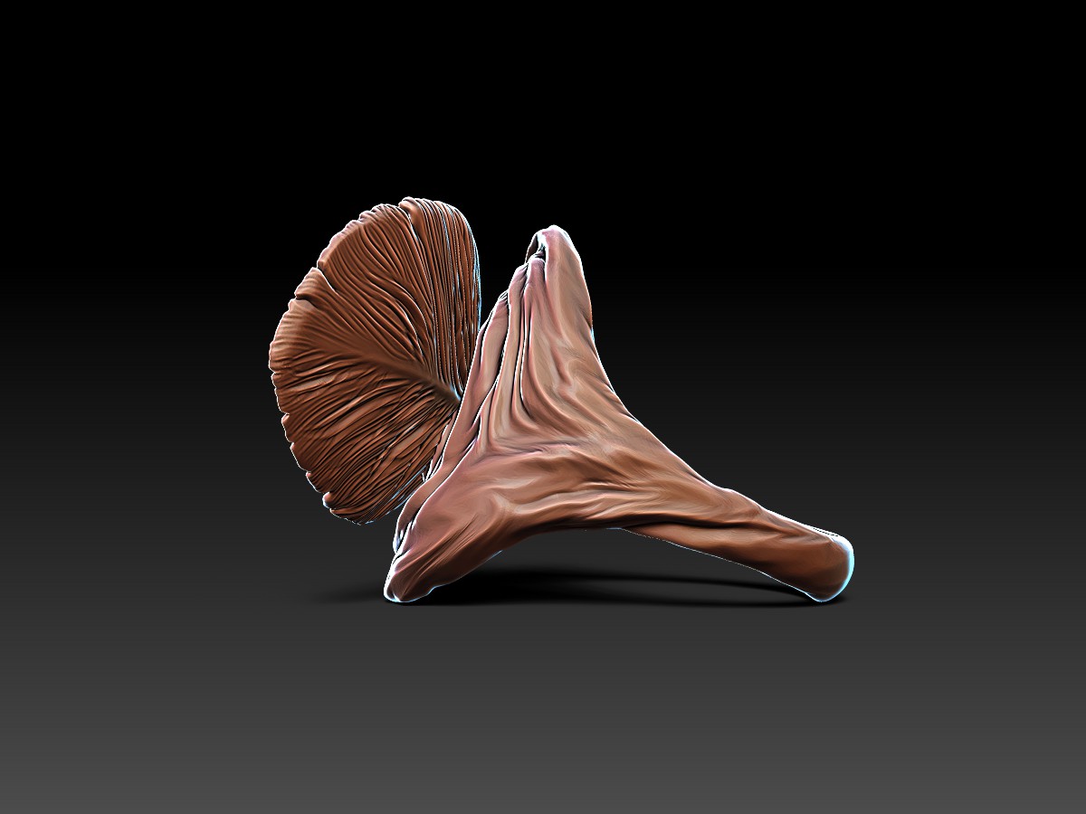 Feather Ring - Waves - model 2