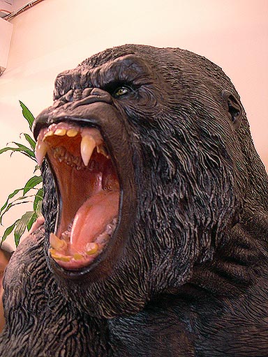 Kong.jpg