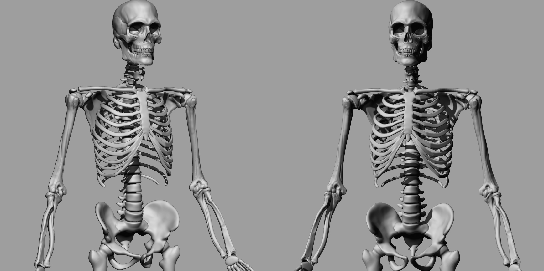 skeletonWIP.jpg