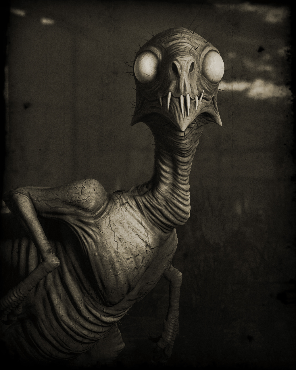 Liderc_001_closeup_B&W