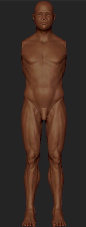 bodyProgress_v01.jpg