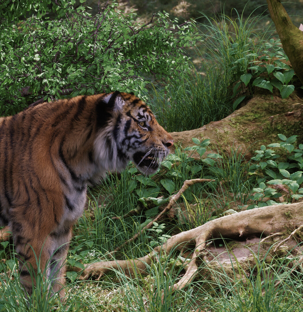 antonio-peres-tiger-sumatra-render-0010