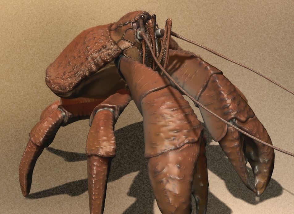 Crab9s.jpg