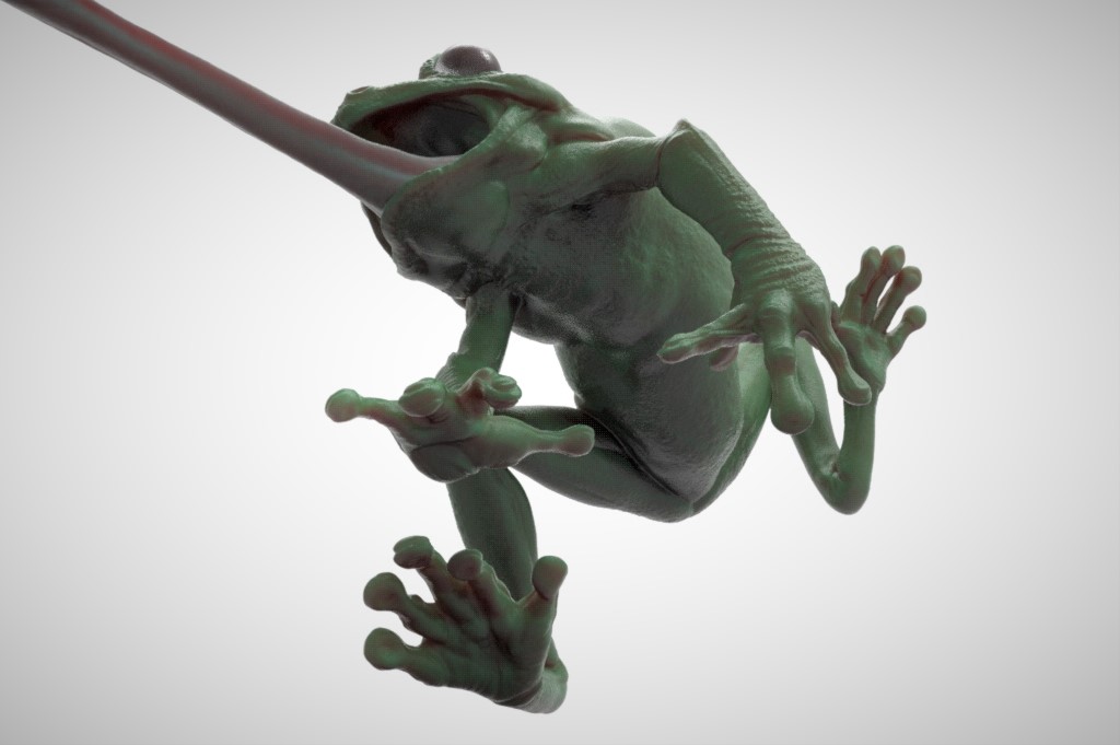 Frog_Keyshot_04B.jpg