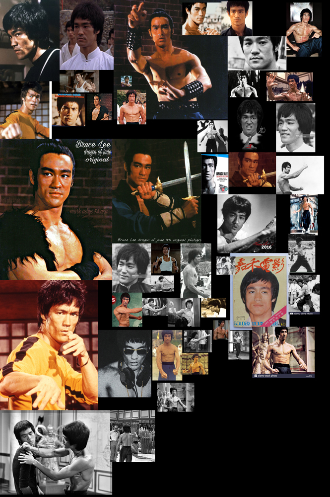 Bruce%20Lee%20The%20Ultimate%20Fighter_10_Reference