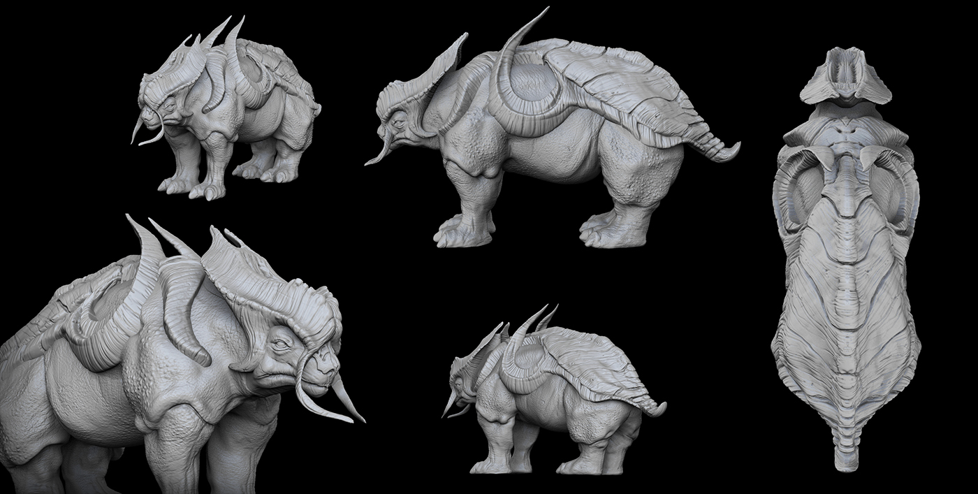 views rhino.jpg